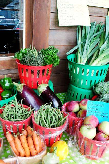 Les Jardins du Pied de Céleri, coop de solidarité